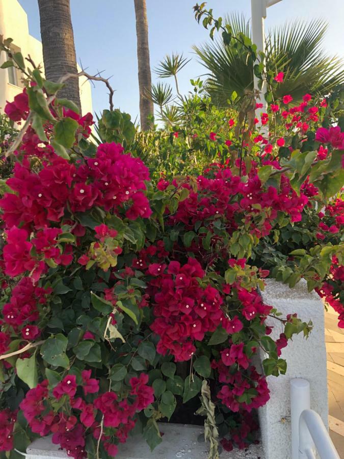 פרוטאראס Andreotis Villas מראה חיצוני תמונה
